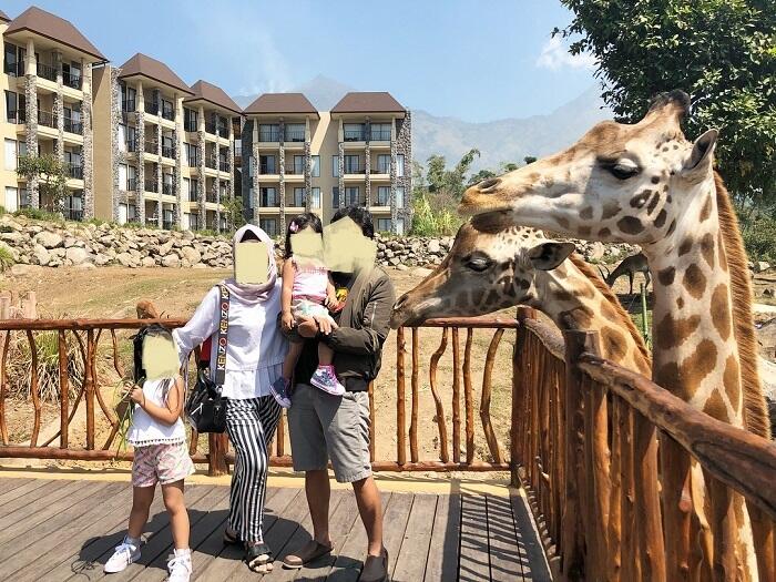 Sensasi Menginap Dikelilingi Savanah Afrika Lengkap di Baobab Safari Resort