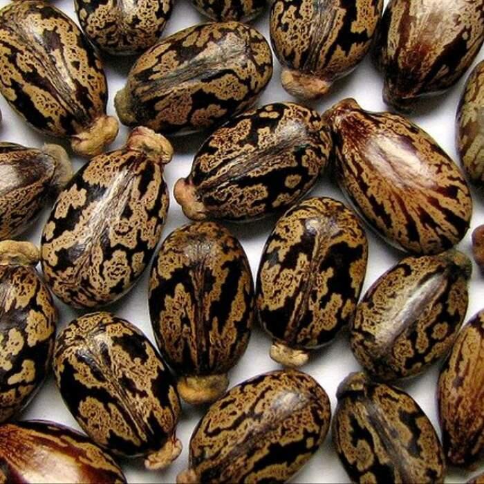 Mainan-Mainan yang Bikin Kangen Masa Kecil, Pernah Mainin?