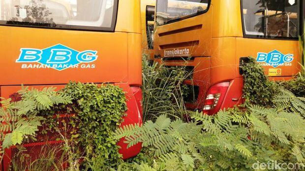 PT TransJ Tegaskan Ratusan Bus Rongsok di Dramaga Bogor Bukan Miliknya