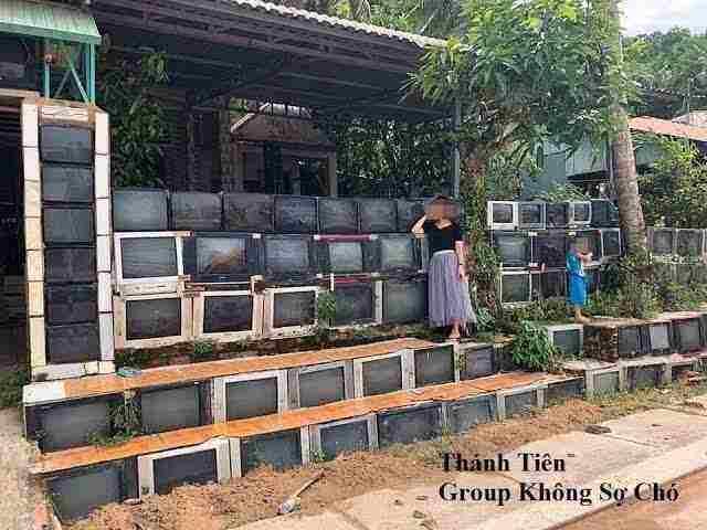 Kreasi Tiada Henti, TV Bekas Dijadikan Pagar Rumah