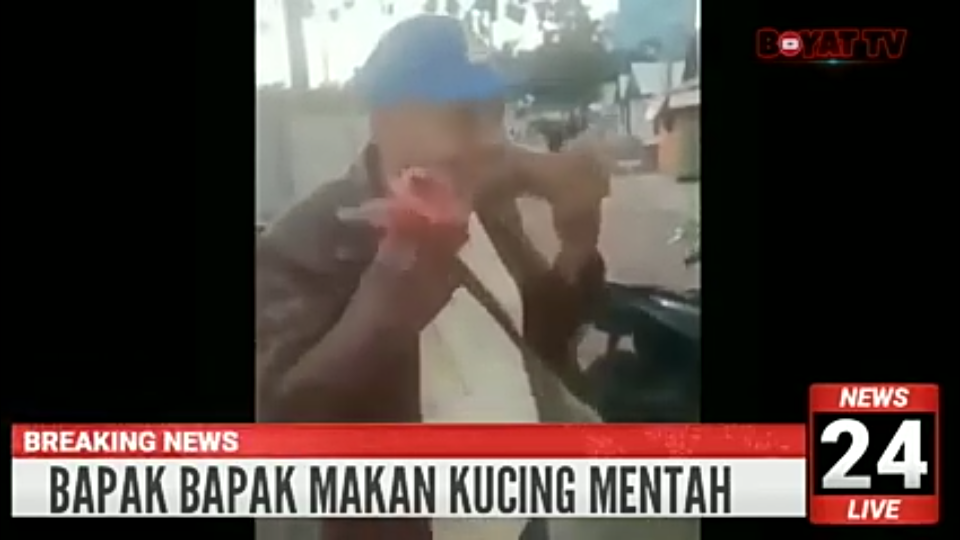 Viral Video Orang Makan Kucing Hidup-hidup, Biadab Sekali Gan!