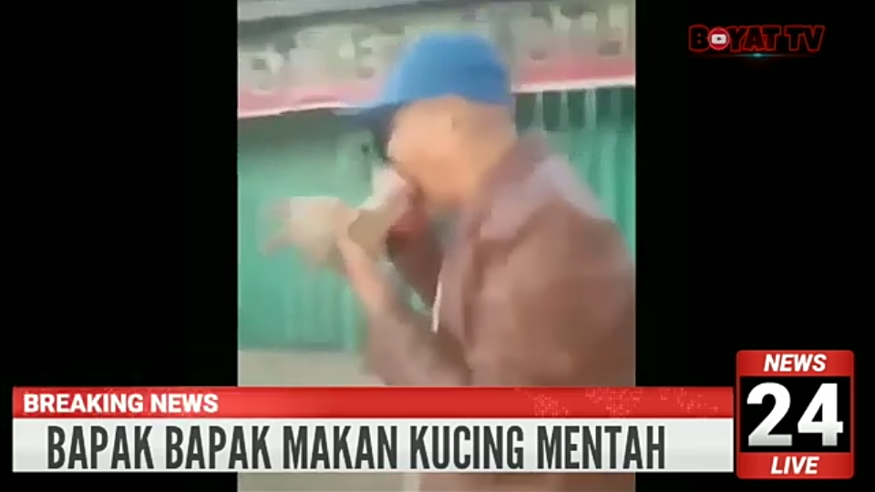 Viral Video Orang Makan Kucing Hidup-hidup, Biadab Sekali Gan!