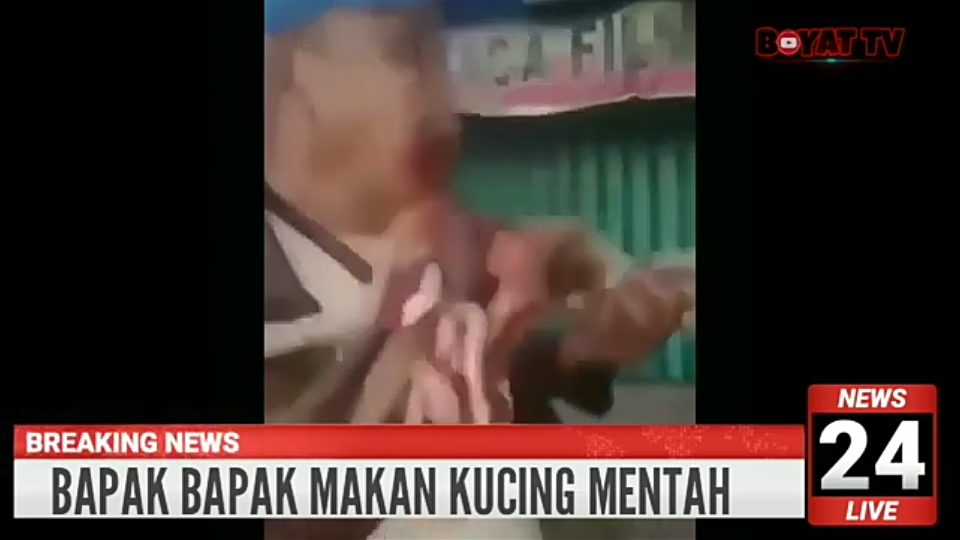 Viral Video Orang Makan Kucing Hidup-hidup, Biadab Sekali Gan!