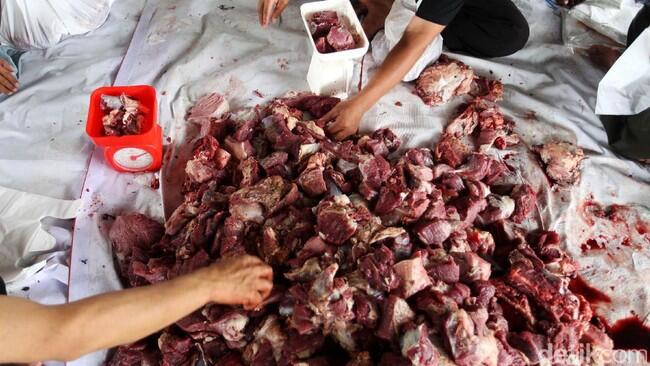 MUI Harap Seruan Anies Tak Pakai Plastik untuk Wadah Daging Kurban Dipatuhi
