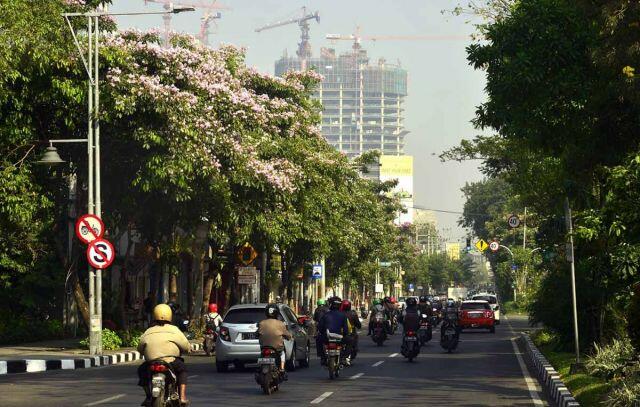 Risma Bicara Bunga Tabebuya, Kualitas Udara dan Pariwisata di Surabaya