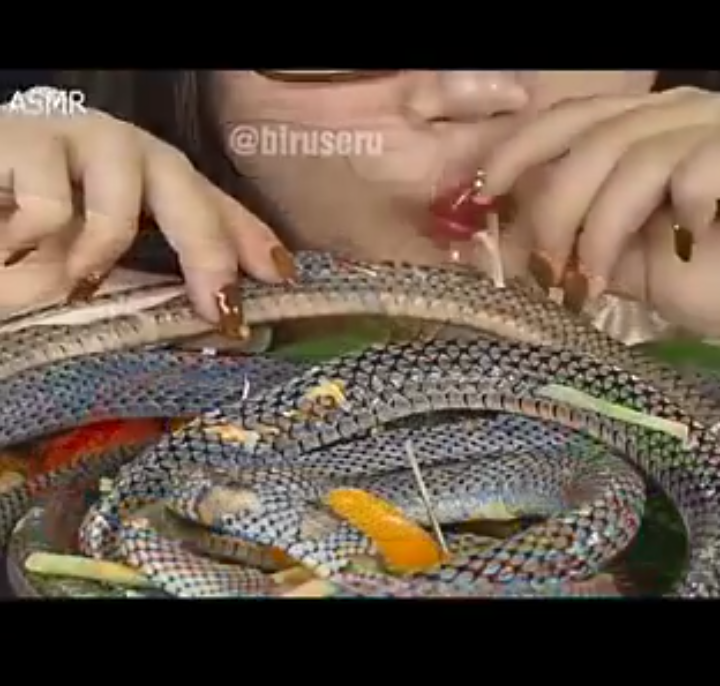 Dengan Lahapnya Perempuan Ini Memakan Ulat, Ular dan Biawak (Apakah Dia Sumanti?)