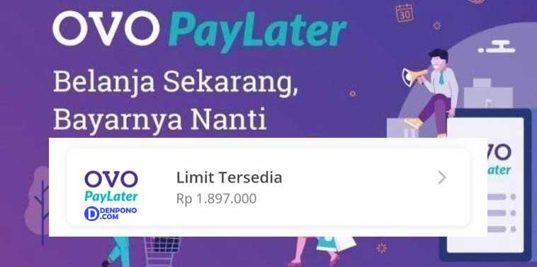 Pengalaman Menggunakan OVO PayLater Tokopedia