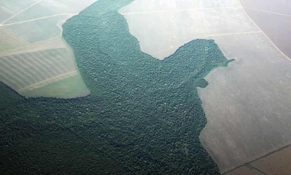 Amazon deforestation accelerating towards unrecoverable 'tipping point'