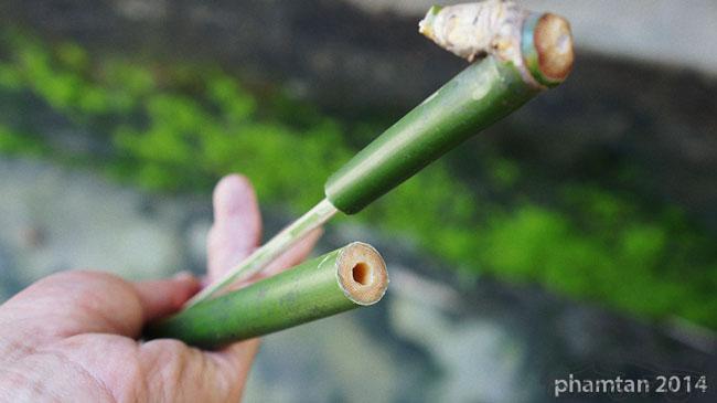 SESI NOSTALGIA: Permainan Lawas Penuh Kenangan