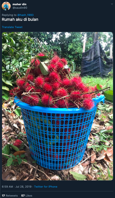 Rambutan ternyata Buah dari Luar Angkasa. Netflix Membuktikan