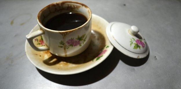 Menengok Sentra Kopi Luwak Jember