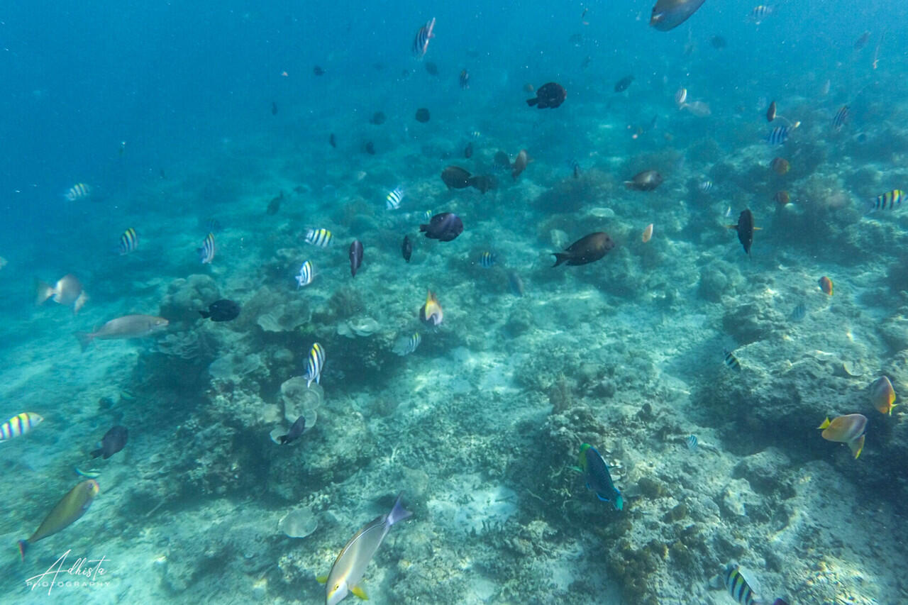 Trio Gili Islands - Birunya Indonesia Dengan Karakter Yang Berbeda