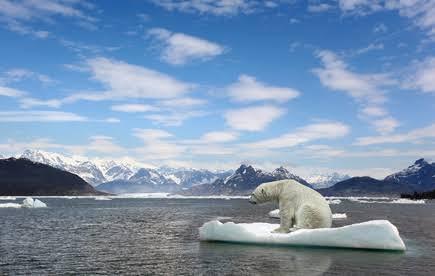 The Arctic's ice sheet is melting at a rapid rate: 11 billion tons in one day