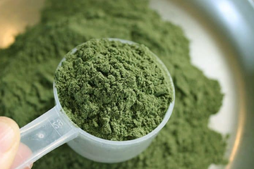 Daun Kratom, Obat Herbal Penurun Berat Badan Dengan Efek Seperti Narkoba!