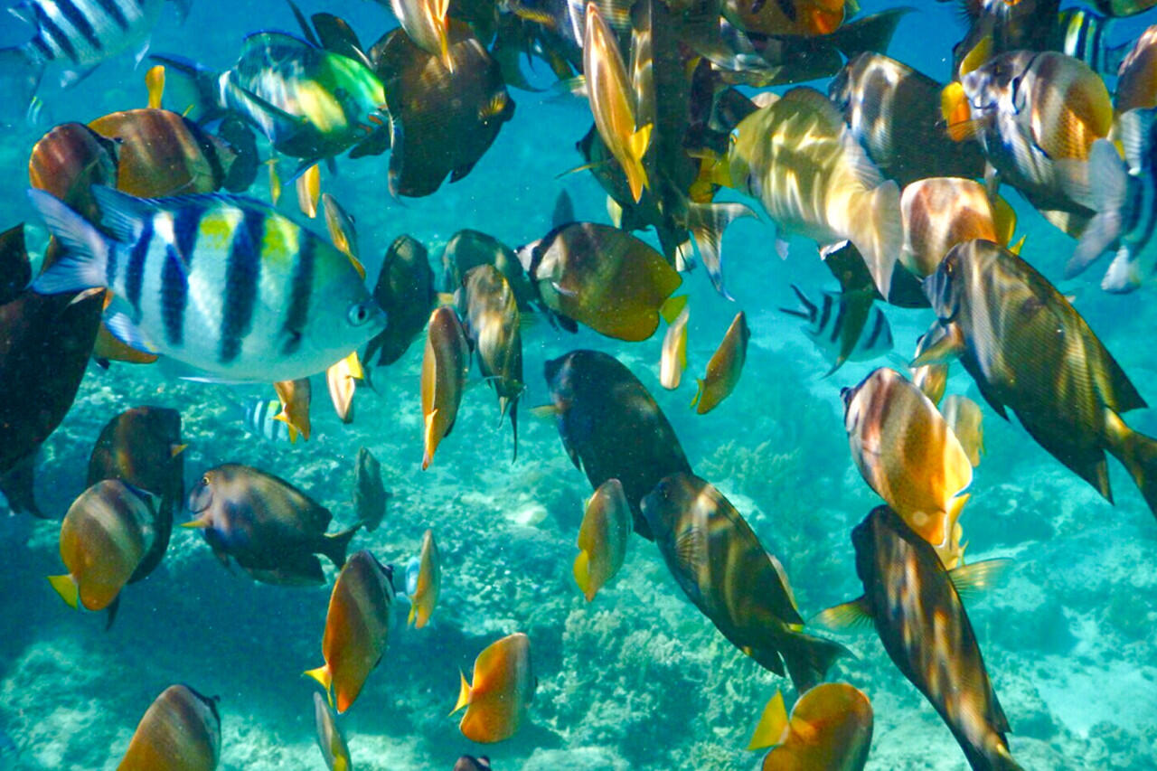 Trio Gili Islands - Birunya Indonesia Dengan Karakter Yang Berbeda