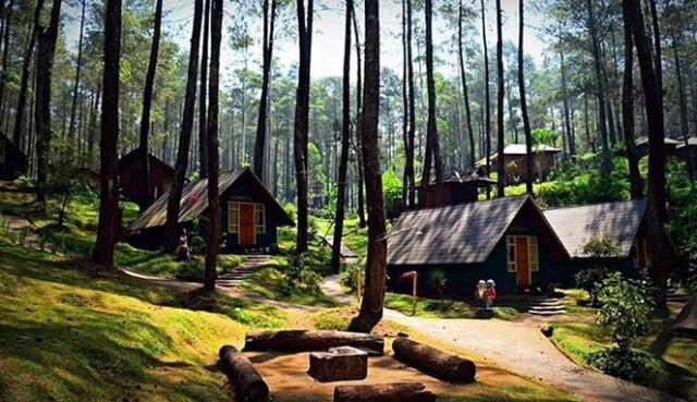 6 TEMPAT TERPOPULER OUTBOUND LEMBANG BANDUNG 2019