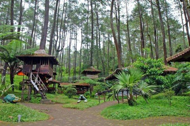 6 TEMPAT TERPOPULER OUTBOUND LEMBANG BANDUNG 2019