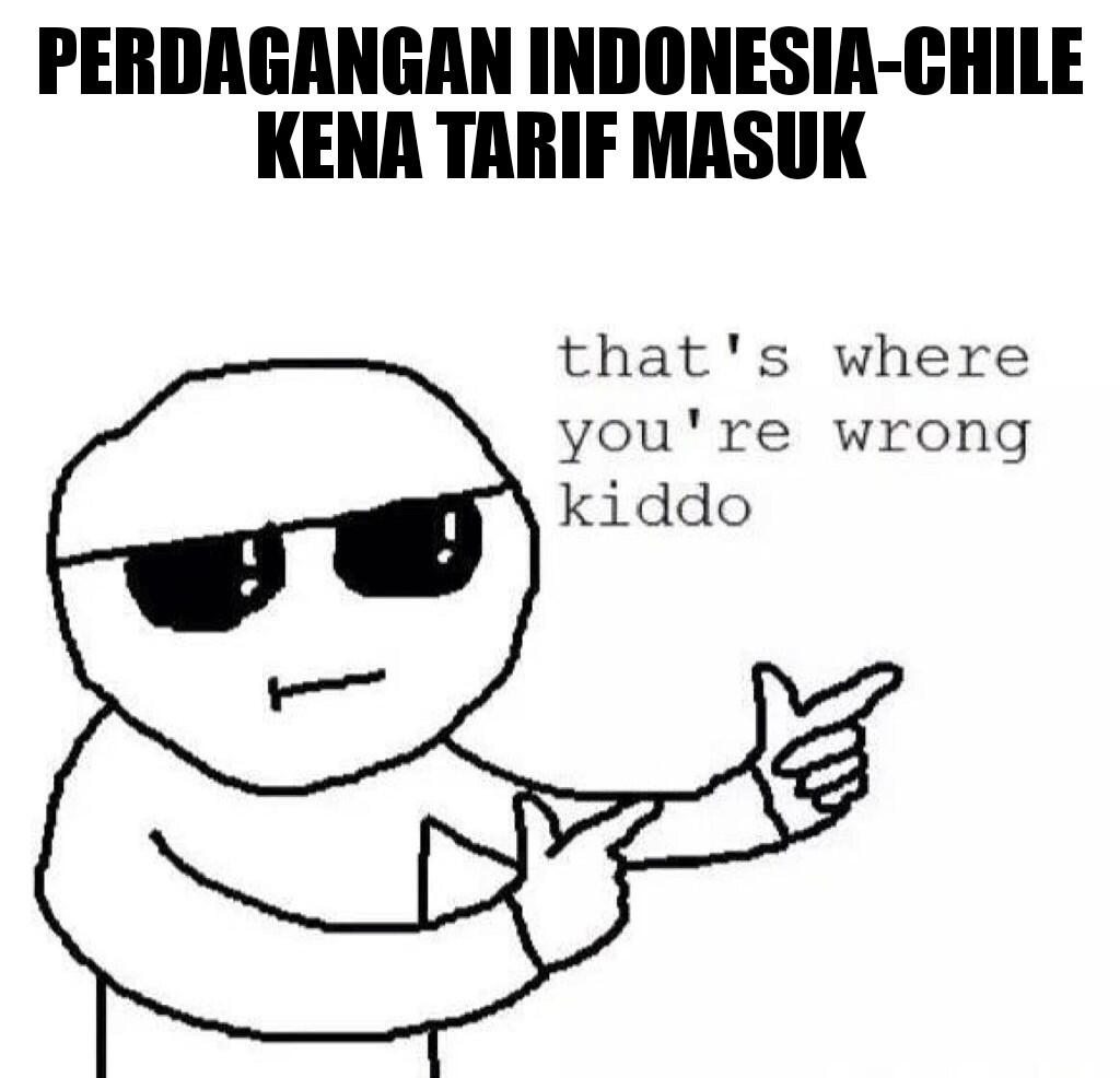 Hore! Empat Hari Lagi Perdagangan Indonesia-Chile Bebas Tarif Masuk