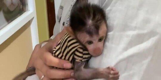 🔥Wow Lucinta Luna Sudah Melahirkan, Ini Lho Potret Anaknya