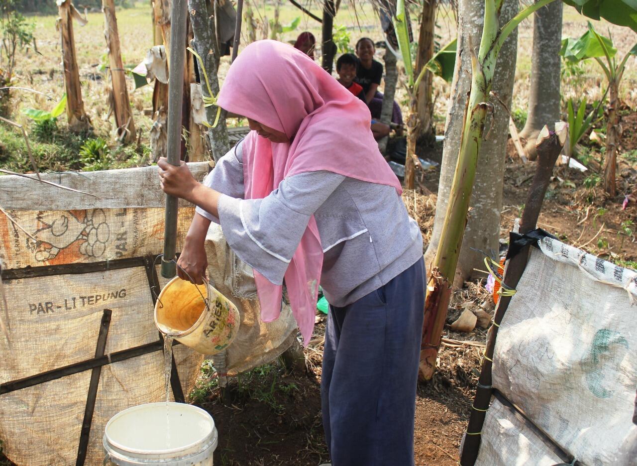 Kemarau Masih Melanda Cianjur, Warga Gali Sumur di Tengah Sawah untuk MCK
