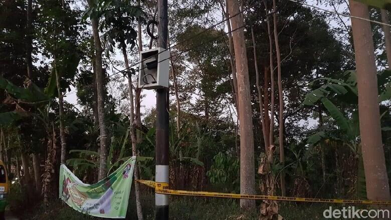 Bukan Sabotase, Blackout Jakarta Akibat 'Ulah' Pepohonan di Semarang