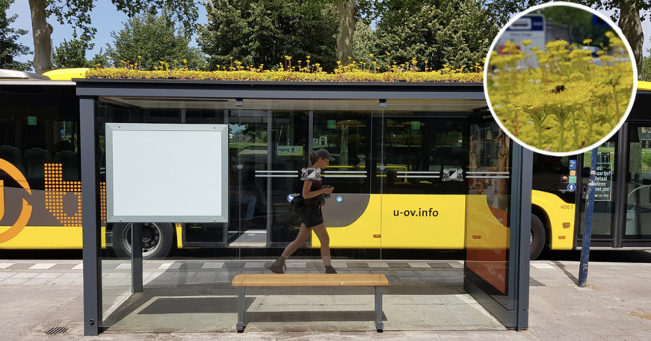 Wah Di Negara Ini Halte Bus Disulap Menjadi Surganya Lebah