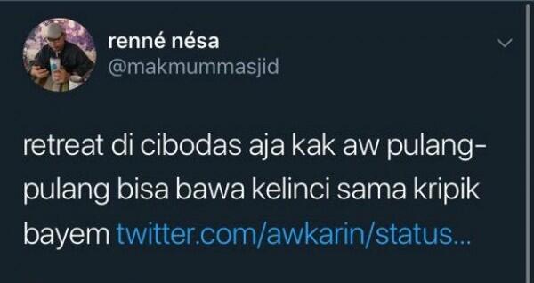 Viral, 10 Reaksi Kocak Netizen Soal Tawaran 'Exposure' Awkarin