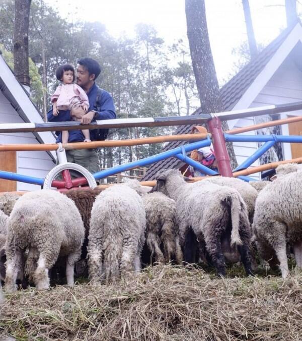 10 Potret Kebersamaan Rio Dewanto dengan Sang Anak, Kompak Banget!
