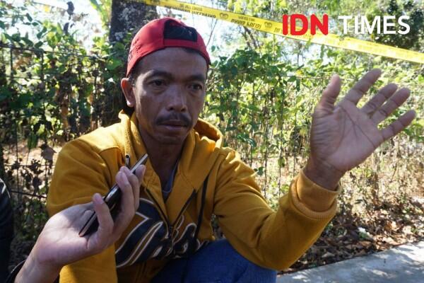 Mengenal Pohon Sengon dan Manfaatnya bagi Kehidupan