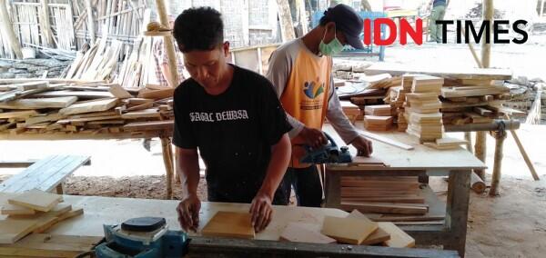 Mengenal Pohon Sengon dan Manfaatnya bagi Kehidupan