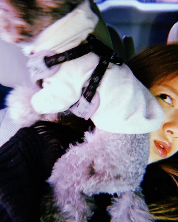 Menggemaskan, Ini 12 Gaya Berfoto Taeyeon yang Aneh tapi Lucu!