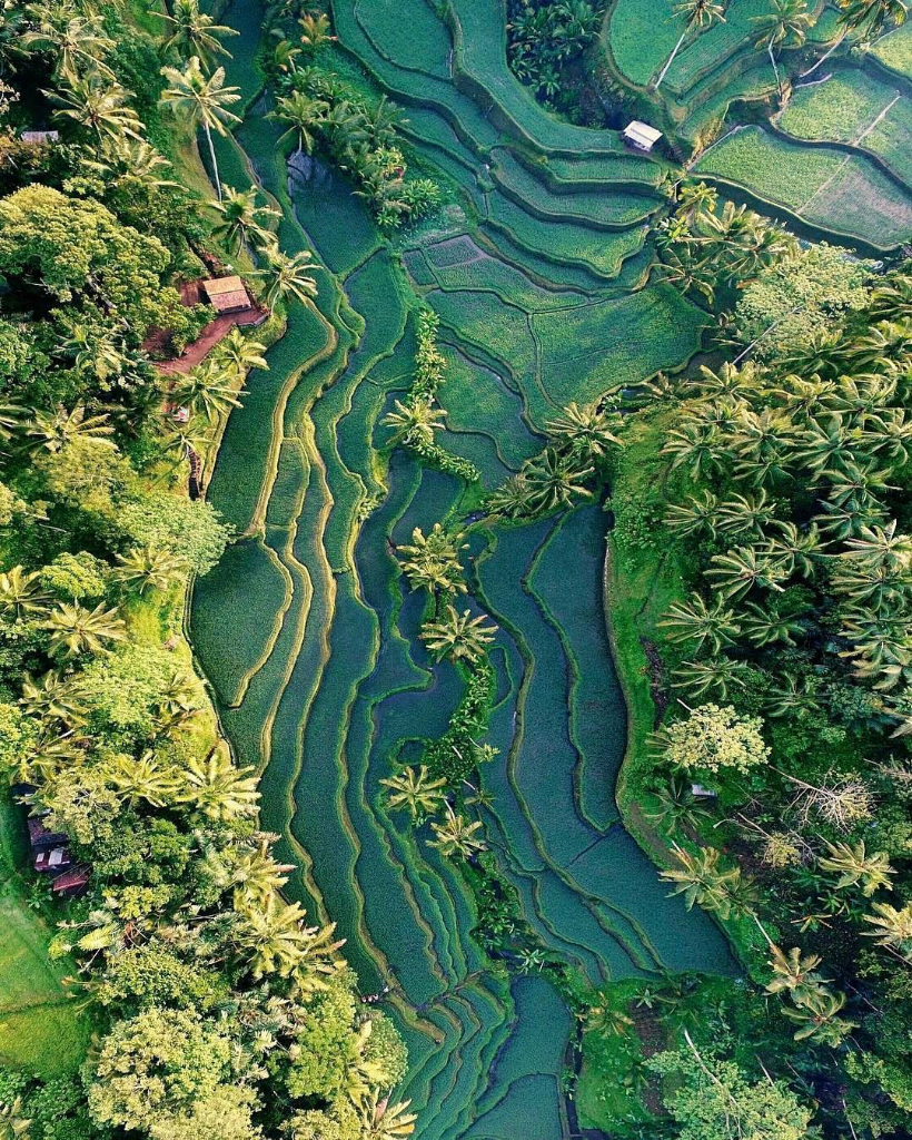 Adakah Alasan Untuk Tidak Bangga Dengan Indoneisa?