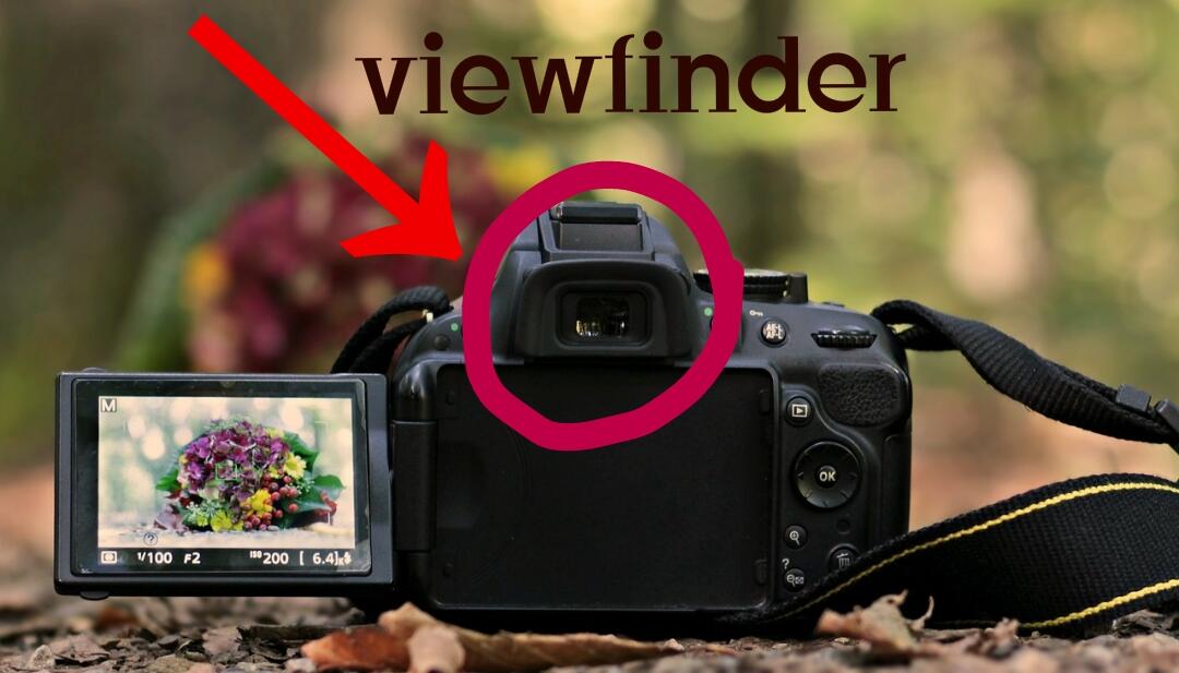 Apa Perbedaan Antara Mirrorless Camera Dengan DSLR Camera? Yuk Mari Cari Tahu!