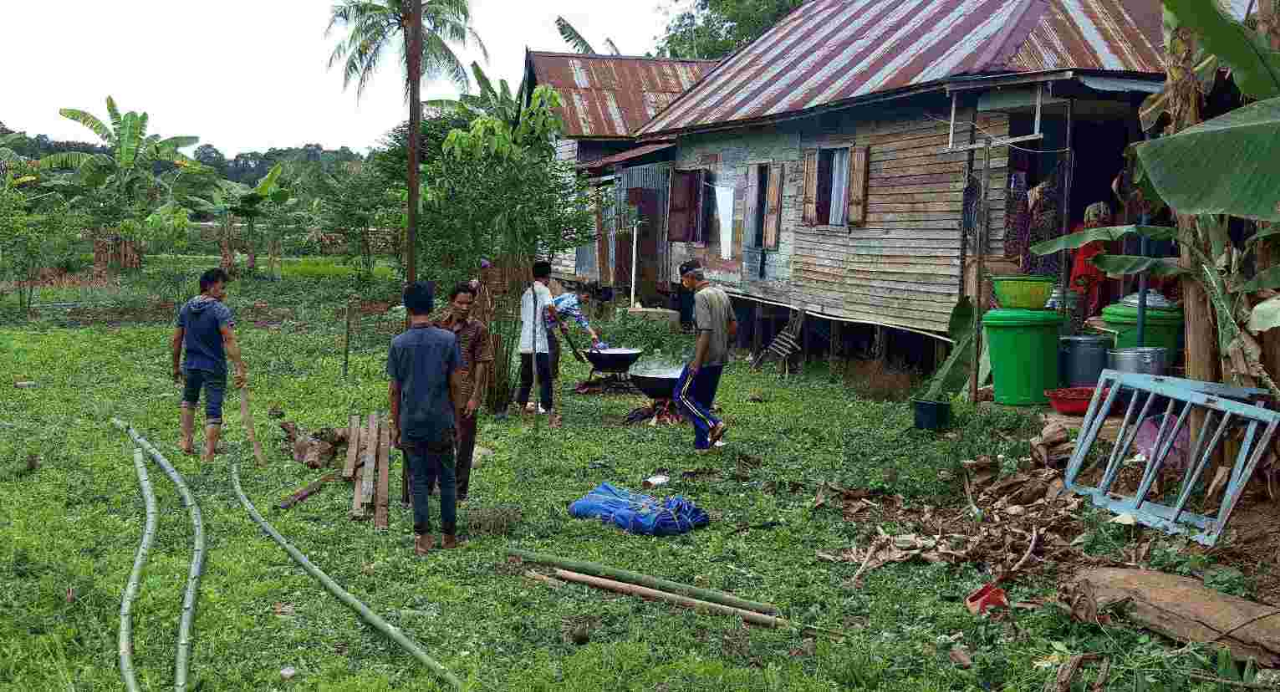 Harmoni Kehidupan di Alam Pedesaan Indonesia