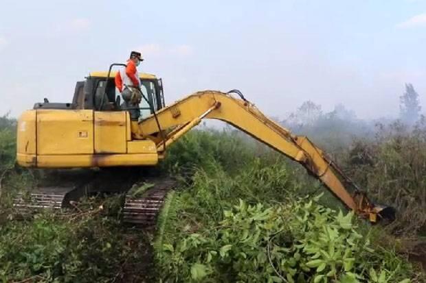 Satgas Karhutla Sumsel Berhasil Padamkan Api di Ruas Tol Palindra