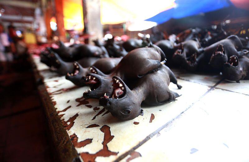 Foto: Anjing Hingga Ular Pun Dimakan di Tomohon