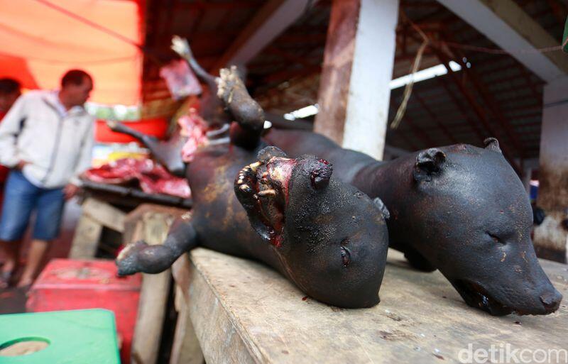 Foto: Anjing Hingga Ular Pun Dimakan di Tomohon