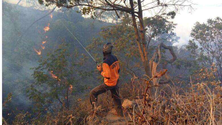 Kebakaran di Gunung Ciremai, Empat Jalur Pendakian Ditutup