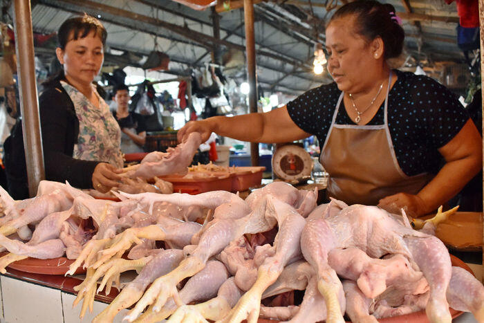 Siap-siap, Indonesia bisa kebanjiran ayam dari Brasil