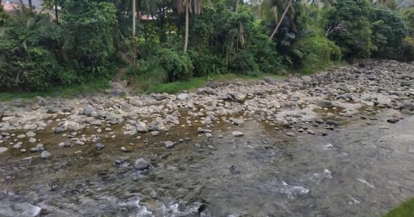 5 Kenikmatan Wisata Kuliner di Rumah Makan Lubuak Lagan, Padang