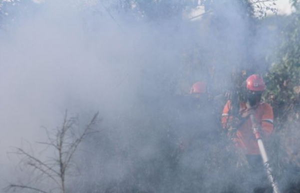 Tersangka Pembakaran Hutan dan Lahan Jadi 23 Orang