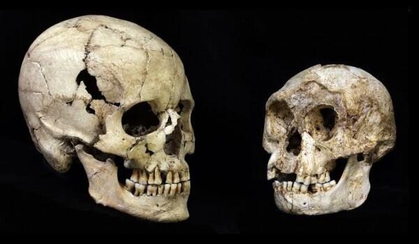 Dijuluki 'Hobbit', 7 Fakta Menarik Spesies Homo floresiensis