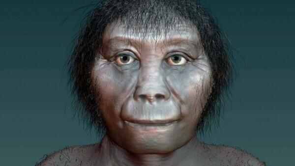 Dijuluki 'Hobbit', 7 Fakta Menarik Spesies Homo floresiensis