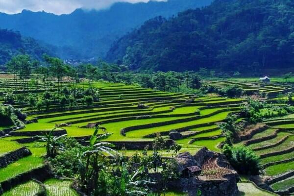 9 Tempat Wisata di Jepara Terbaru, Gak Cuma Pulau Karimunjawa!
