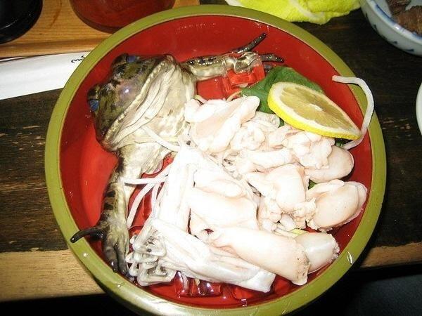 Sadis, 15 Makanan Ini Disajikan dengan Cara Menyiksa Binatang!
