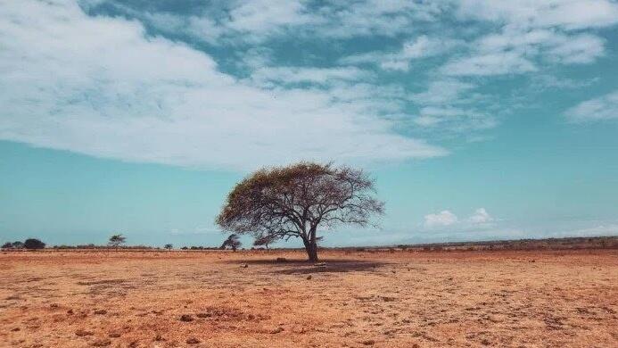4 Hal Yang Aku Suka Dari Indonesia (Kabupaten Situbondo)