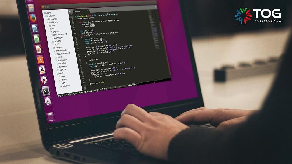 Programmer Seperti Ini Yang Paling Banyak Dicari Oleh Perusahaan