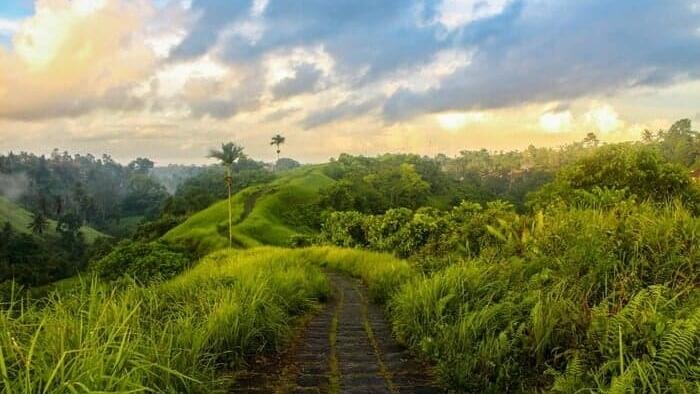 Inilah Yang Dari Dulu Aku Suka Dari Indonesia (Bali)