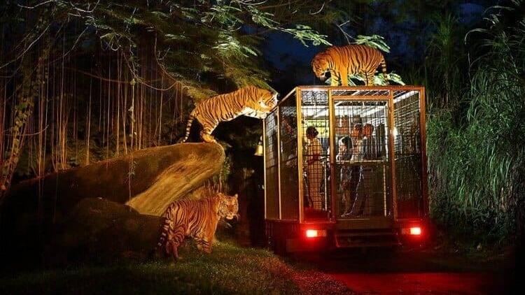 Inilah Yang Dari Dulu Aku Suka Dari Indonesia (Bali)
