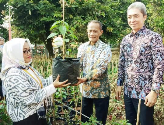 TTIC kementan Solusi Kongkrit dan Jelas Atasi Harga Cabai